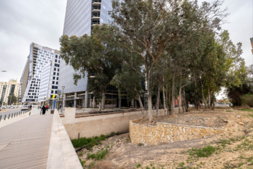 מובל מקס נורדאו