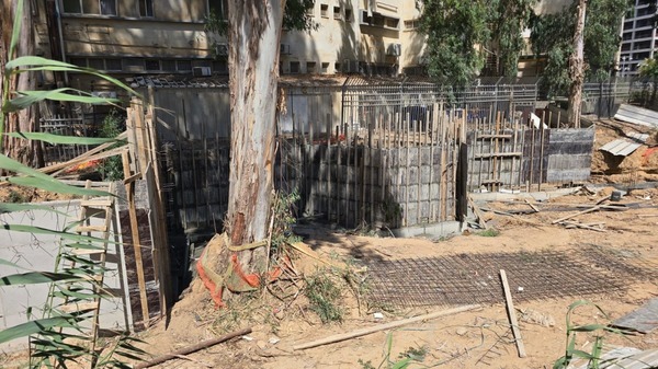 פרויקט שאפתני לשימור פנינת הטבע שנבלעה בין בניינים בבאר שבע